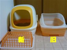 リフォーム？建替え？