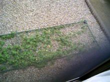 台風一家2011(爆) 台風一家2011(爆)