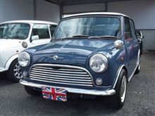 この子です（mini）