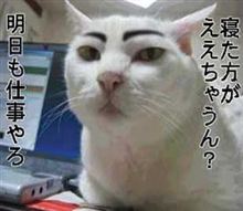 明日はネ…