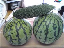 あらっ？・・・また失敗ｗ