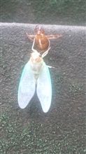 恥ずかしい～(&gt;_&lt;)