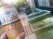 今日は早めに…