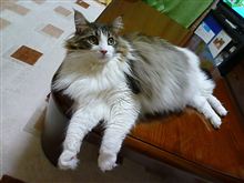 の～んびりしようね～
