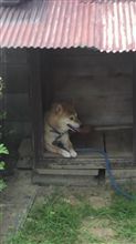 ヒマナンデス(・∀・)