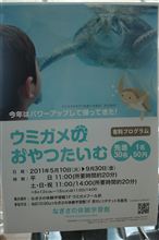 新江ノ島水族館②