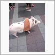 今日は愛知県へ♪