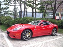 韓国で馬発見！！