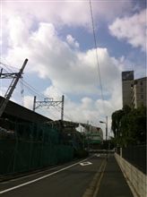 まだなおらない