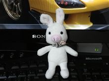 ぶたうさぎ