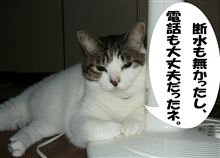 ライフライン問題無し