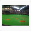 Baseball game.