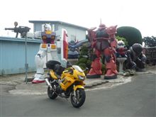 増えてました。