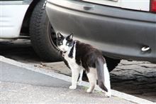 こないだのＥＵ出張写真！　やっとアップしました～！