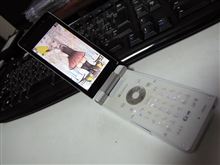 【仕様？】SoftBankのケータイWi-Fi使用にご注意！【地雷？】
