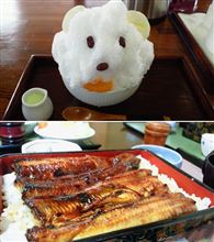 第3237回　しろくまさんだ！