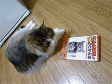 本を読むマリアちゃん☆