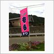 いざ、山梨へ