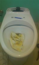 これだもの…