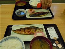 本日の ランチ・・・