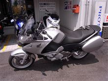 ドゥービル納車
