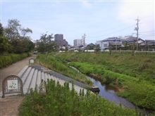 東コース