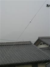 もしや・・・。