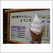 今日のデザート♪