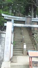 神社でお詣り