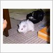 お盆のお客様