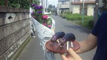 ナスに乗って