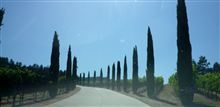 A tour around Napa ワイナリー巡り (私流) A tour around Napa ワイナリー巡り (私流)