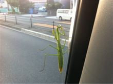 覗き！？
