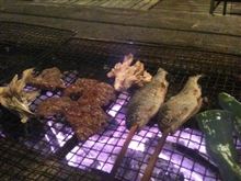 至福の時(^^)v