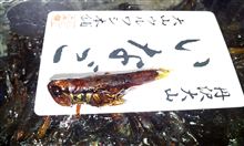 虫嫌いは見ないで……