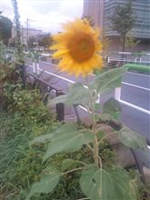 当然ですが…涼しいです(&#39;∇&#39;)