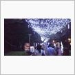 夏の夜の夢