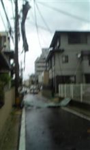 災難 災難
