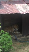 酔っ払いのツブヤキ(&#180;３`)ﾌﾞﾂﾌﾞﾂ