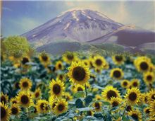 山中湖 花の都公園 オフ会に参加して来ました♪
