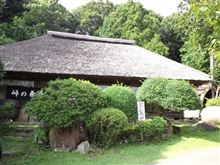 8月23日 ふらっと伊豆へ♪ 8月23日 ふらっと伊豆へ♪
