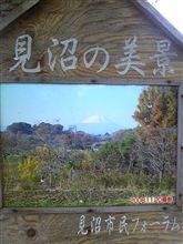見沼の美景