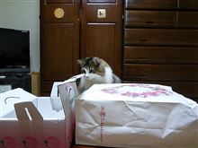 予想通り！？