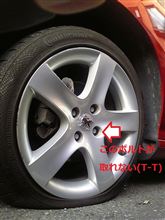 『ロックボルト』探し中・・・・(T_T) 『ロックボルト』探し中・・・・(T_T)