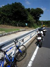マイペースな一日
