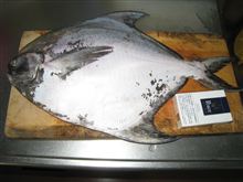 今日は、お魚屋さんになりました。