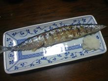 秋を先取り♪