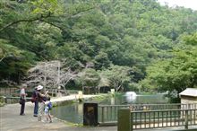 醒ケ井養鱒場