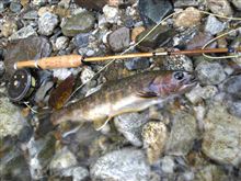 岩魚も秋色