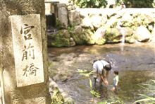 阿蘇の清流で川遊び！